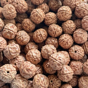 Nepal Rudraksha Bodhi Samen 8 oder 10 mm, Lotus Bodhi Gebet Mala Perlen