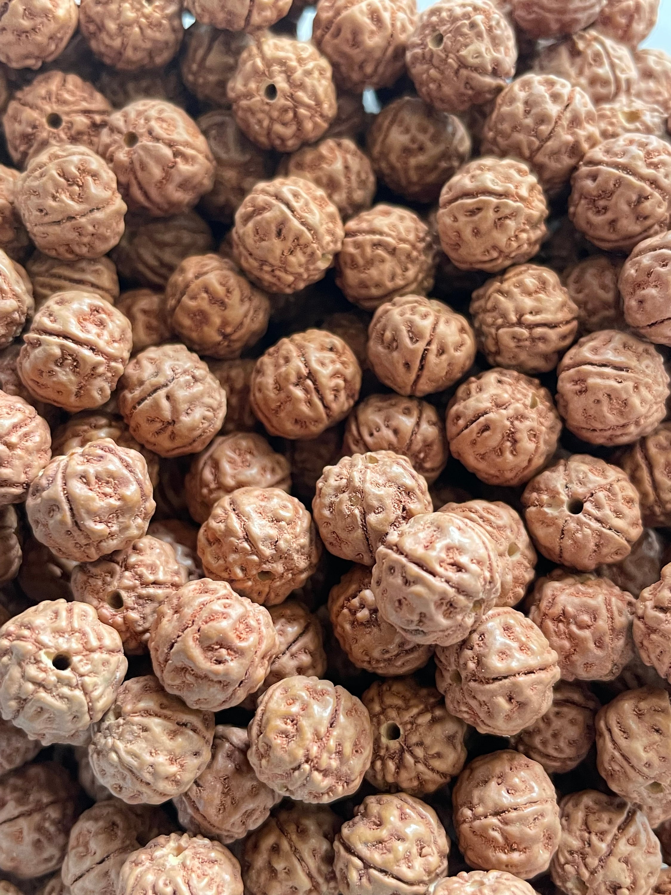 Nepal Rudraksha Bodhi Seed 8 or 10 mm, Lotus Bodhi Prayer Mala Beads