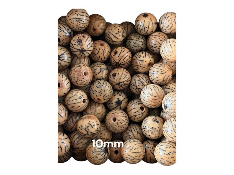 Op de afbeelding: Een close-up van een stapel van 10 mm natuurlijke bruine zaad kralen met zwarte markeringen. De kralen zijn rond en hebben een gat in het midden.