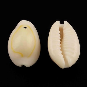Beige cowrie shells, pierced, set of 6, 10 or 20 pcs