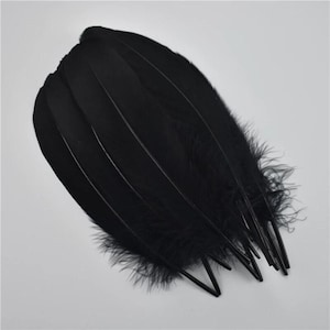 Feather 6-8 inches/15-20cm, sold in packs of 4