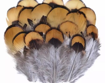 Plumes de faisan,3 à 7 cm vendu par 10