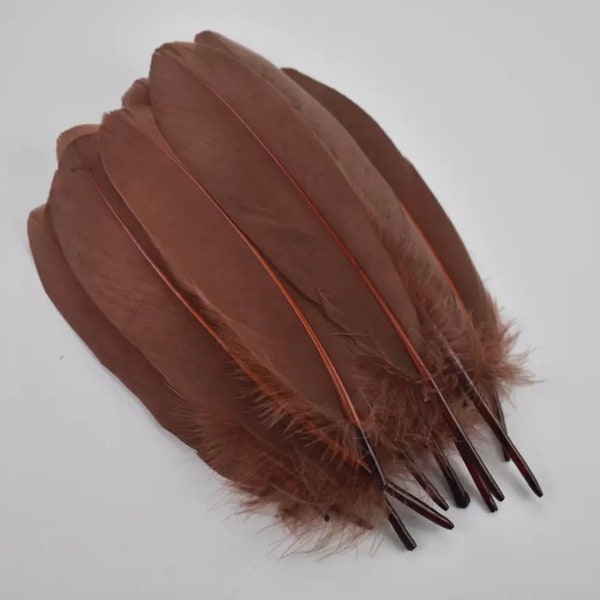 Plume marron  6-8 pouces/15-20cm, vendu par 4