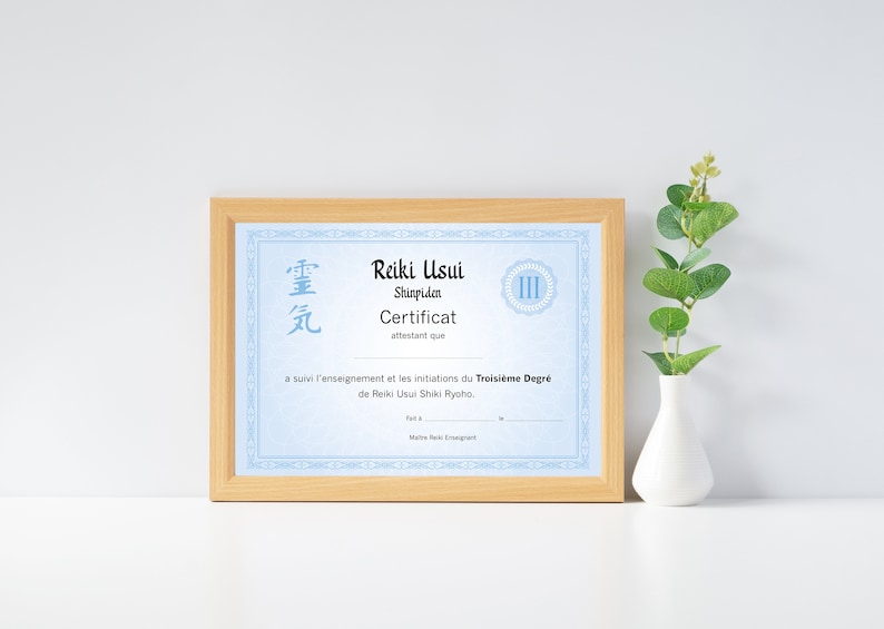 Reiki 3rd degree teaching certificate PDF to print, Usui Shinpiden reiki level 3 certificate for professional practitioners image 3