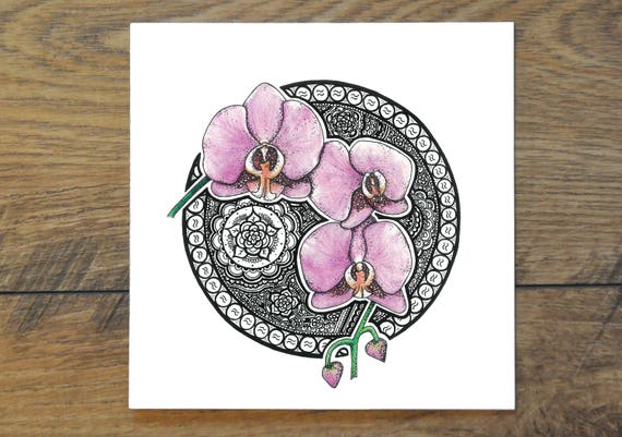 Wassermann Orchidee Januar 18 Februar Sternzeichen Etsy