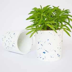 May include: Two white ceramic planters with blue speckles. One planter is empty and the other has a green succulent plant.