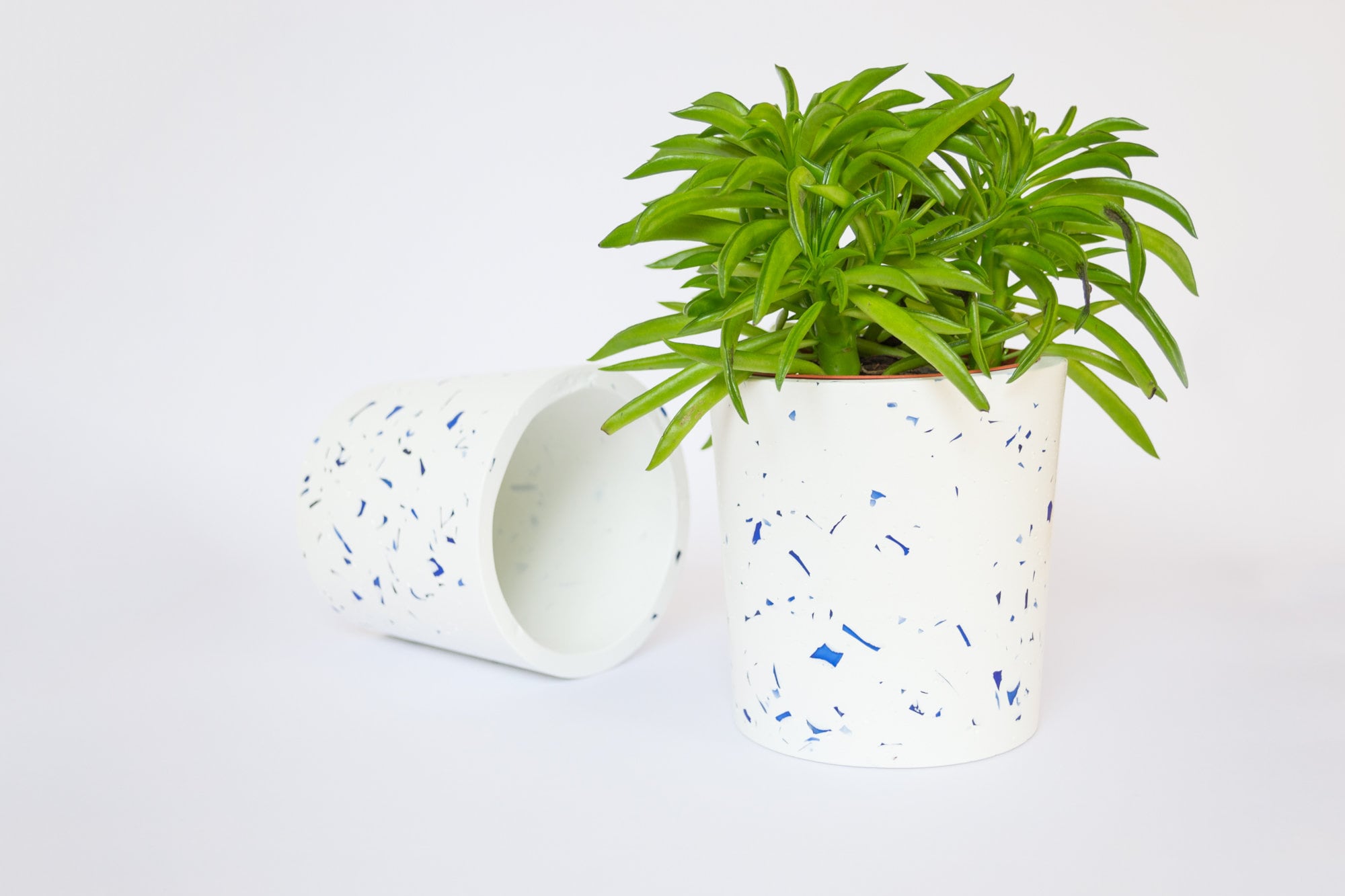 Terrazzo planter 12” - Etsy 日本