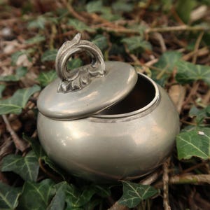 Puede incluir: Un recipiente de metal plateado con una tapa decorativa. La tapa tiene un diseño floral y está ligeramente entreabierta. El recipiente está sentado sobre una cama de hojas verdes.