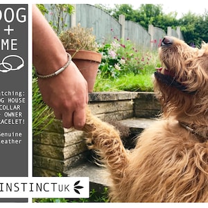 May include: A brown and white dog with a matching leather collar and bracelet. The text "DOG + ME" is in the top left corner of the image. The text "Matching: DOG HOUSE COLLAR + OWNER BRACELET! Genuine Leather" is in the bottom left corner of the image. The text "INSTINCTUK" is in the bottom center of the image.