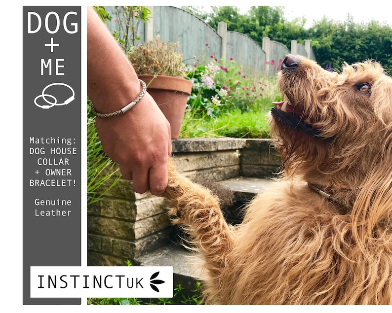 May include: A brown and white dog with a matching leather collar and bracelet. The text "DOG + ME" is in the top left corner of the image. The text "Matching: DOG HOUSE COLLAR + OWNER BRACELET! Genuine Leather" is in the bottom left corner of the image. The text "INSTINCTUK" is in the bottom center of the image.
