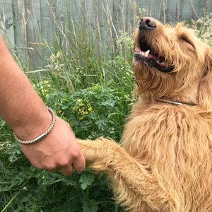 May include: A brown dog with its mouth open, wagging its tail, and giving a paw to a person wearing a brown leather bracelet.