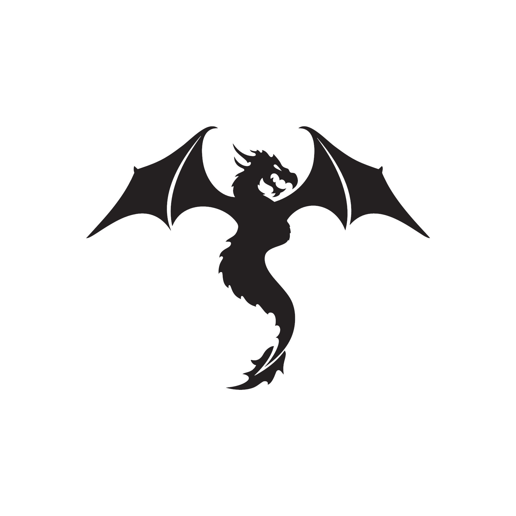 Dragon Class Decals Electronics & Accessories Decals & Skins