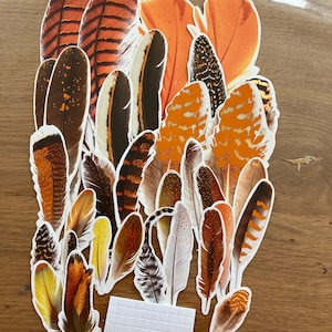 kit de décoration plumes