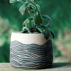 korea succulents pots ceramic pottery handwork