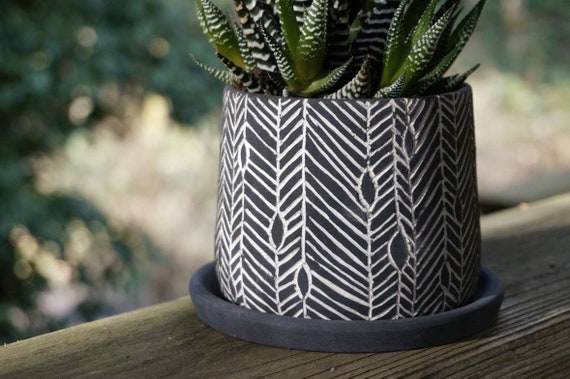 Succulent pots with drainage online
