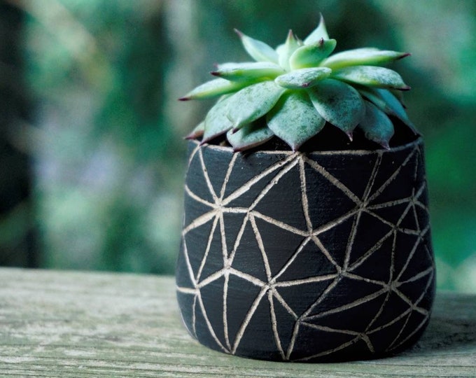 Carved Triangles- Handmade Ceramic Succulent Pots Clay Pottery Planters, Cactus Pots for Succulents, Black Decor Indoor Ceramic Plant Pot