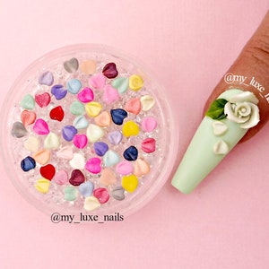 Nail Art 3D Acrylic Flower Petals for Roses | Nail Art | Nail Charms | Nail Decoration | Kawaii