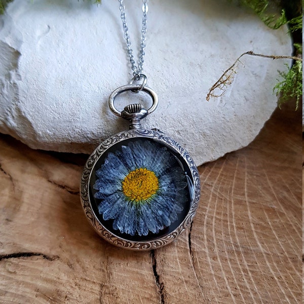 Pendentif montre Gousset véritable. Pendentif fleur séchée de Pâquerette. Vendu seul ou avec une chaîne. Cadeau fête des mères