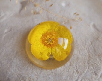 Magnet half sphere dried flower of Buttercup. Dried flower magnets. Flower magnet. Mother's Day gift