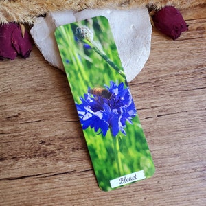 Glossy bookmark - original photo of a cornflower, ideal for a reader&#39;s gift at a low price.