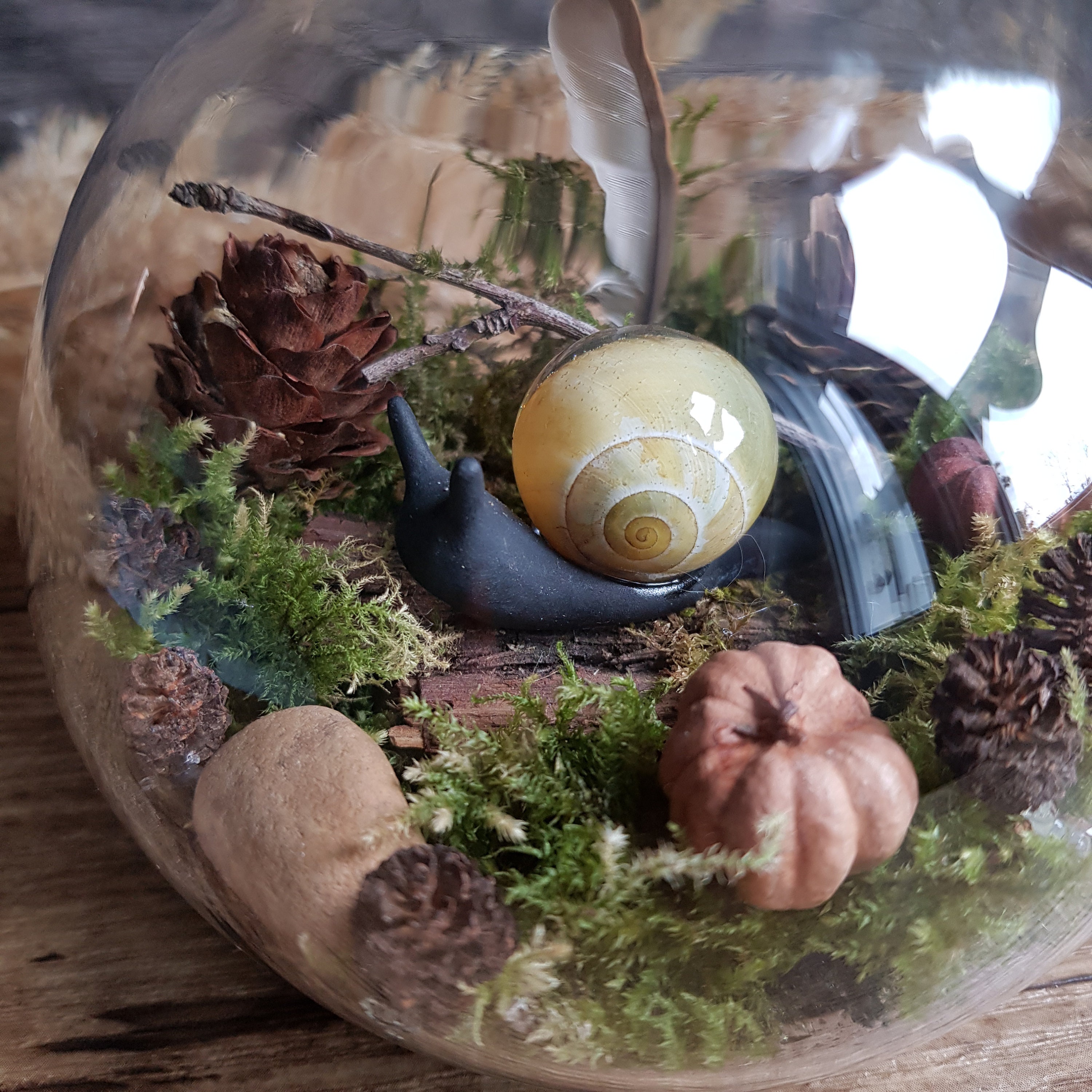 Der verzauberte Garten von Maia. Mini Terrarium aus Glas