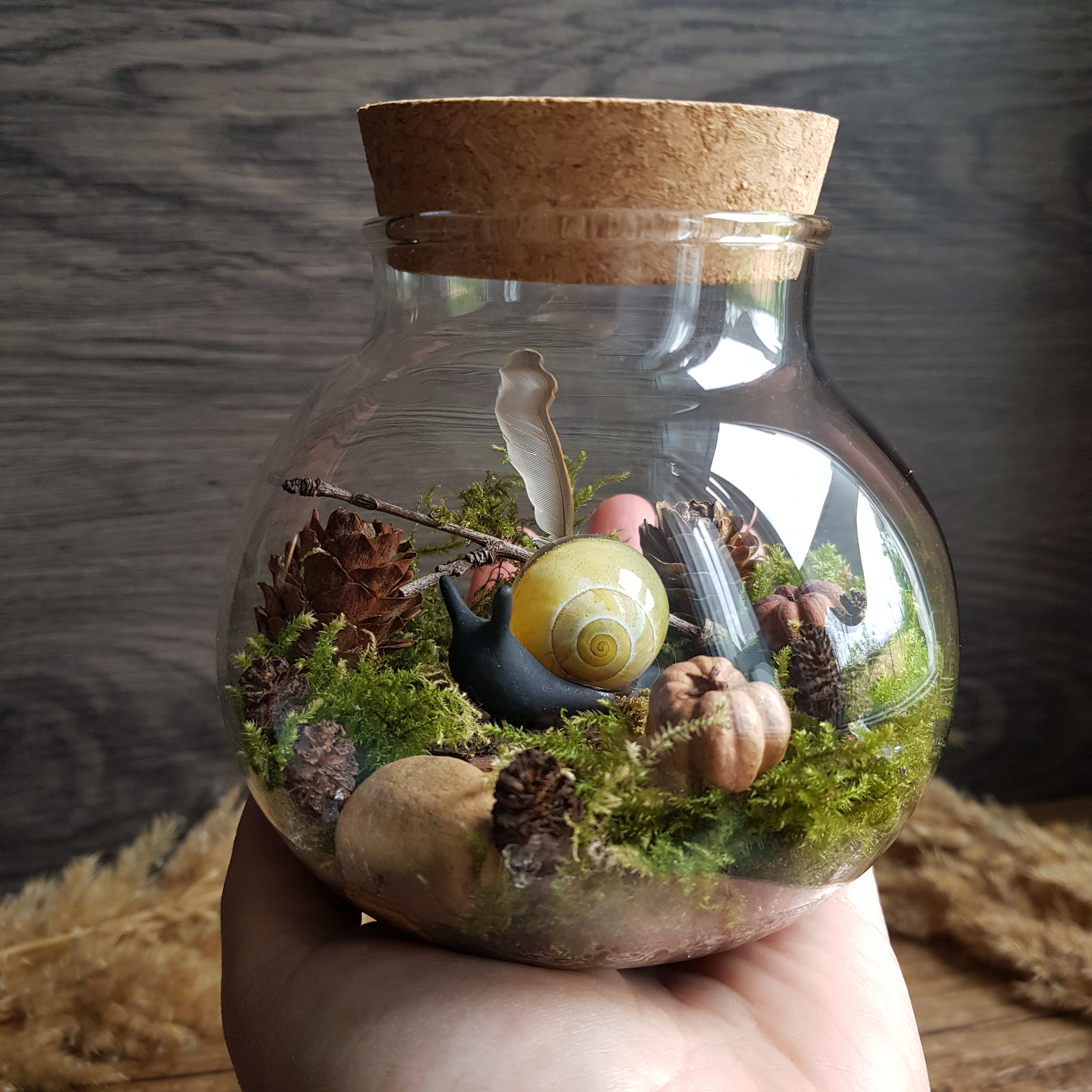 Der verzauberte Garten von Maia. Mini Terrarium aus Glas