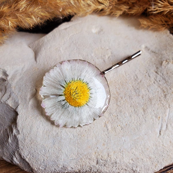 Épingles à cheveux fleurs de Pâquerettes. Pince à cheveux fleur séchée. Barrette fleurs séchées. Barrette fleurie. Cadeau fête des mères