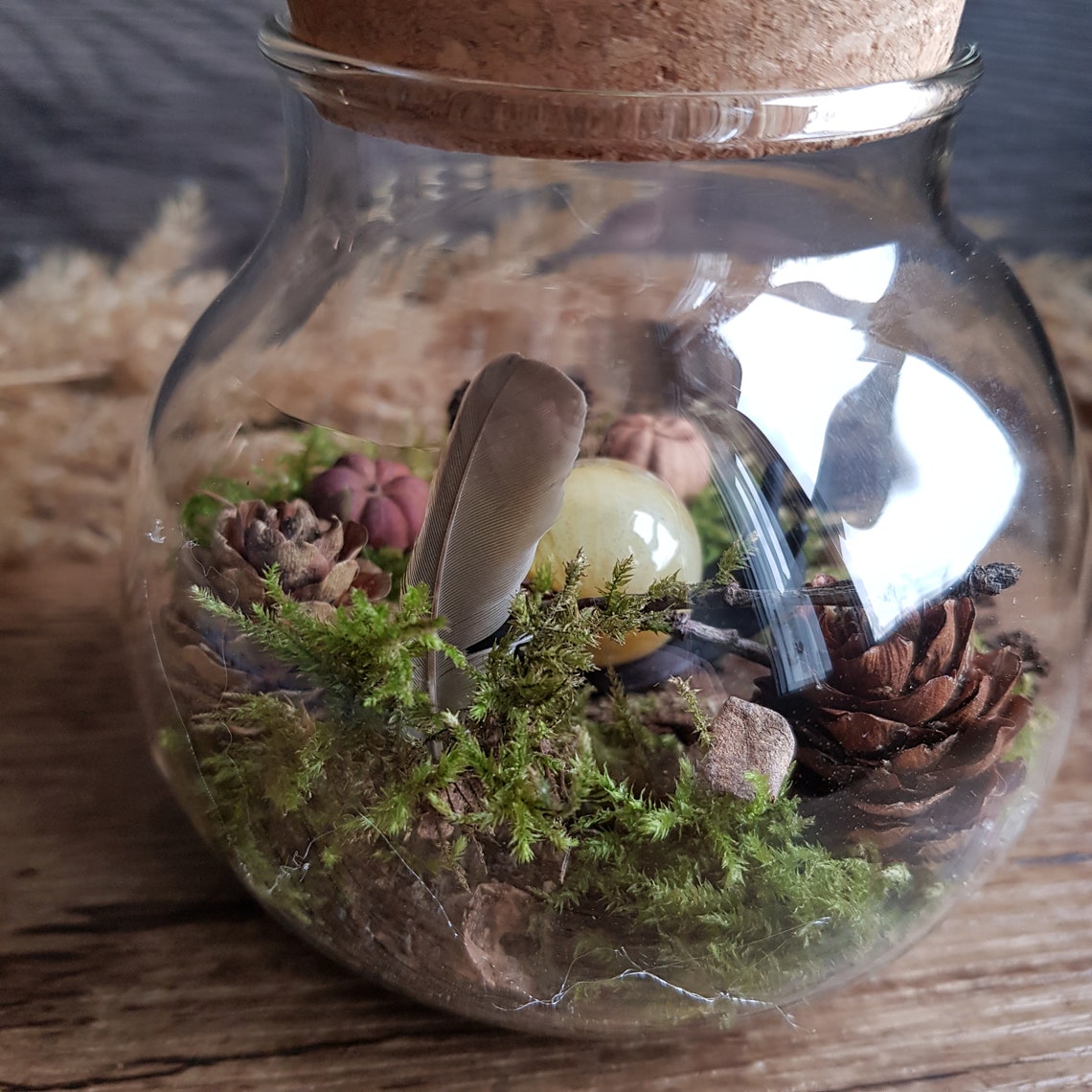 Der verzauberte Garten von Maia. Mini Terrarium aus Glas