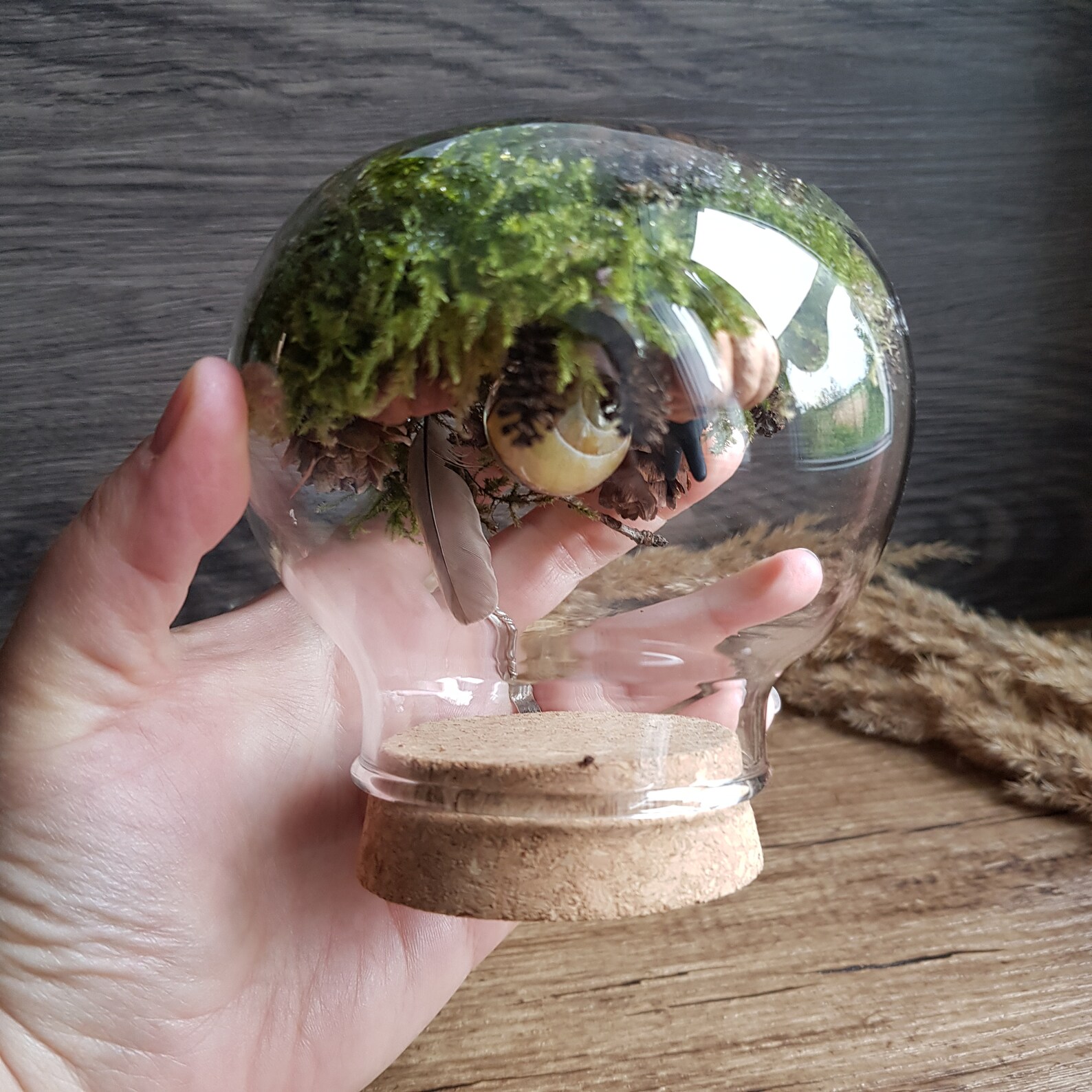 Der verzauberte Garten von Maia. Mini Terrarium aus Glas