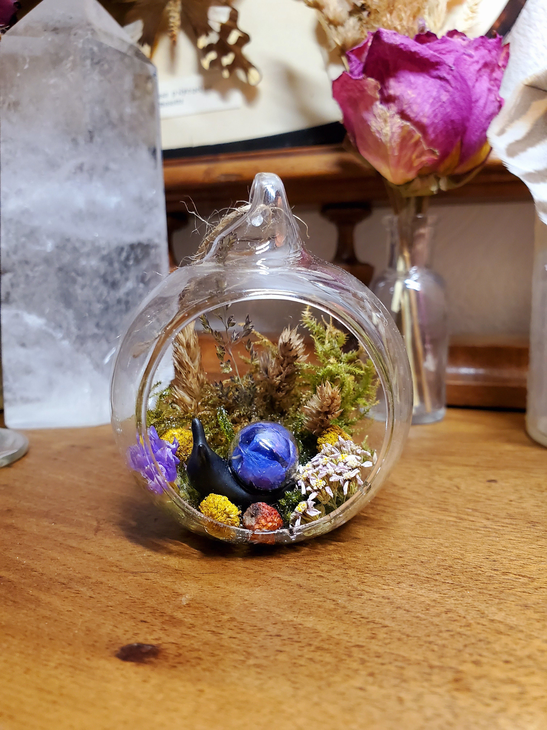 Jardin Miniature en Fleurs Séchées avec Escargot Résine. Mini Terrarium Verre et Séchées. Décoration