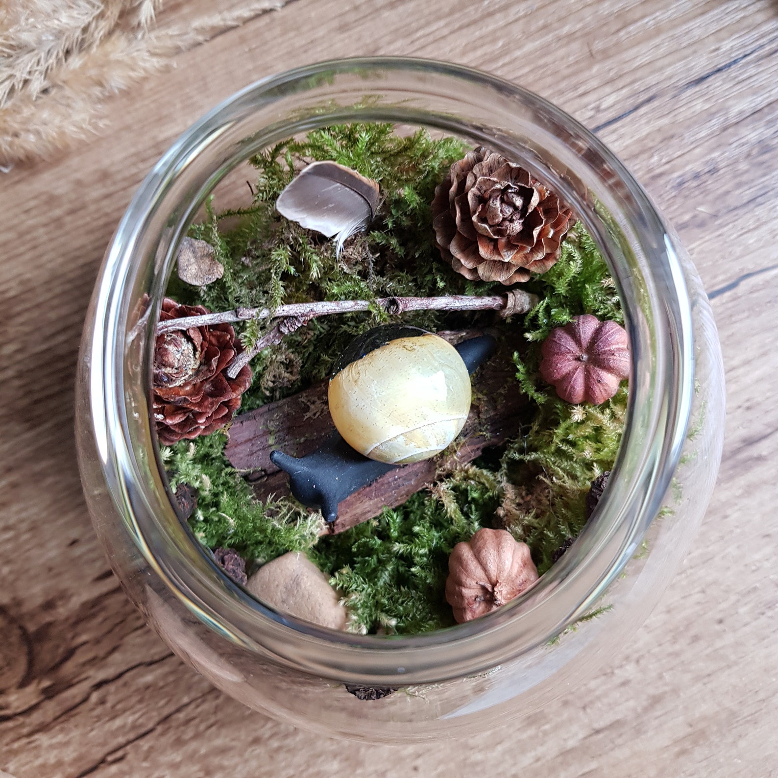 Der verzauberte Garten von Maia. Mini Terrarium aus Glas