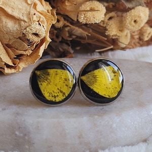 Buttercup dried flower cufflinks. Floral cufflinks. Men's accessories. Father's Day gift.
