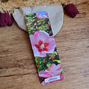 Althea photo bookmark. Floral bookmark. Paper bookmark.