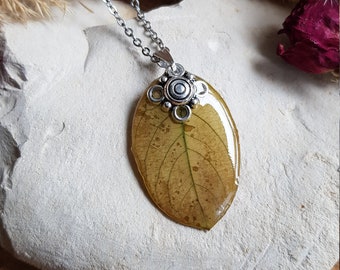 Indian Lilac leaf pendant. Sold alone or with a chain. Dried leaf jewelry. Fall jewelry. Mother's Day gift