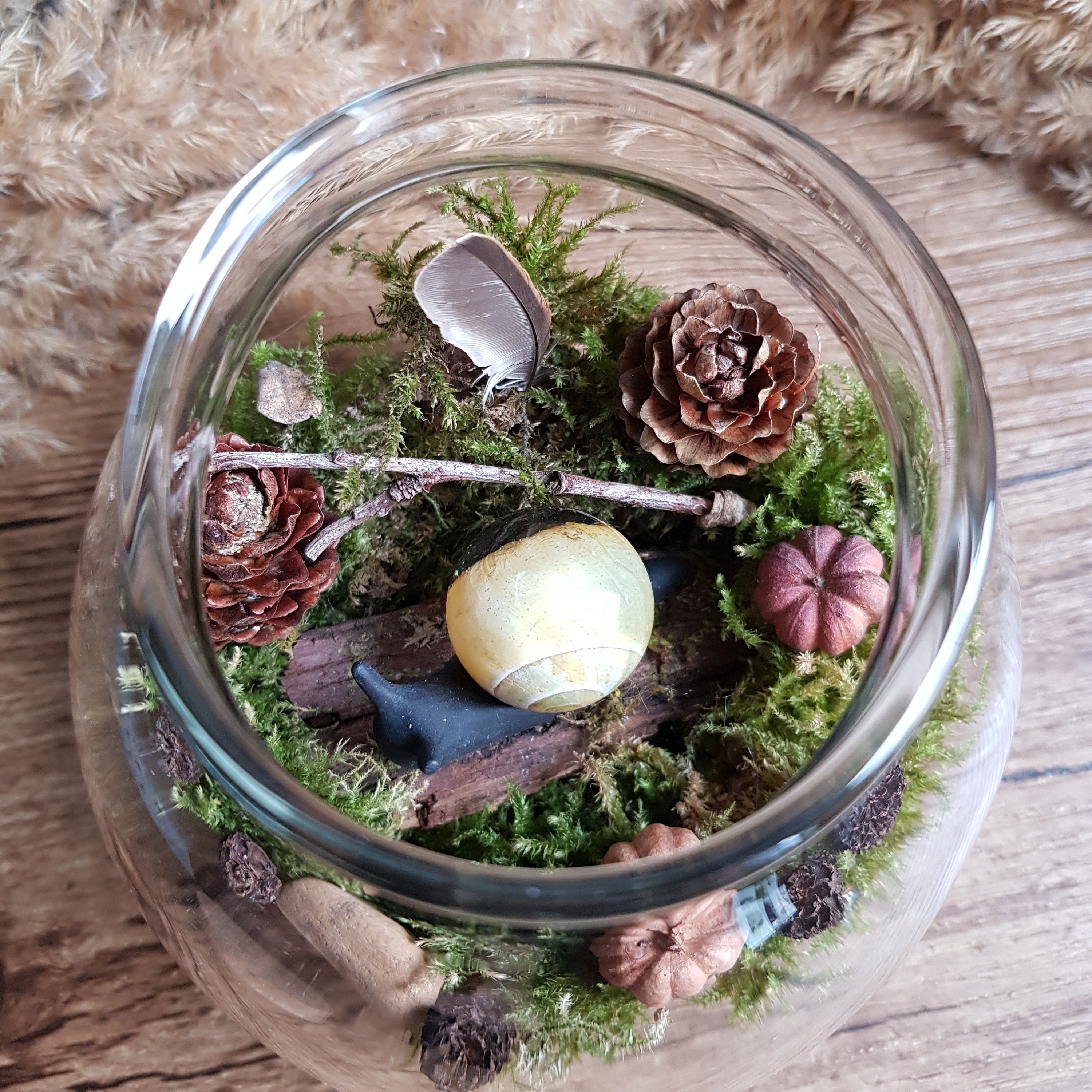 Der verzauberte Garten von Maia. Mini Terrarium aus Glas