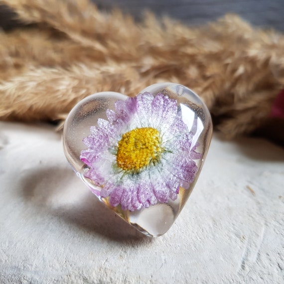 Pin on Dried Flowers
