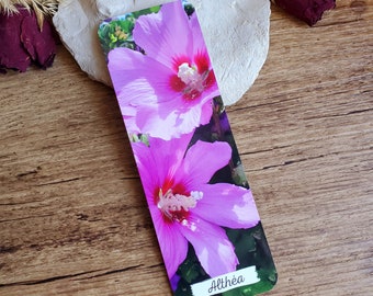 Althea photo bookmark. Floral bookmark. Paper bookmark. Mother's Day gift