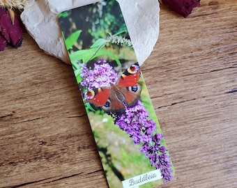 Photo bookmark of a Peacock of the Day butterfly on Buddleia. Floral bookmark. Paper bookmark. Mother's Day gift