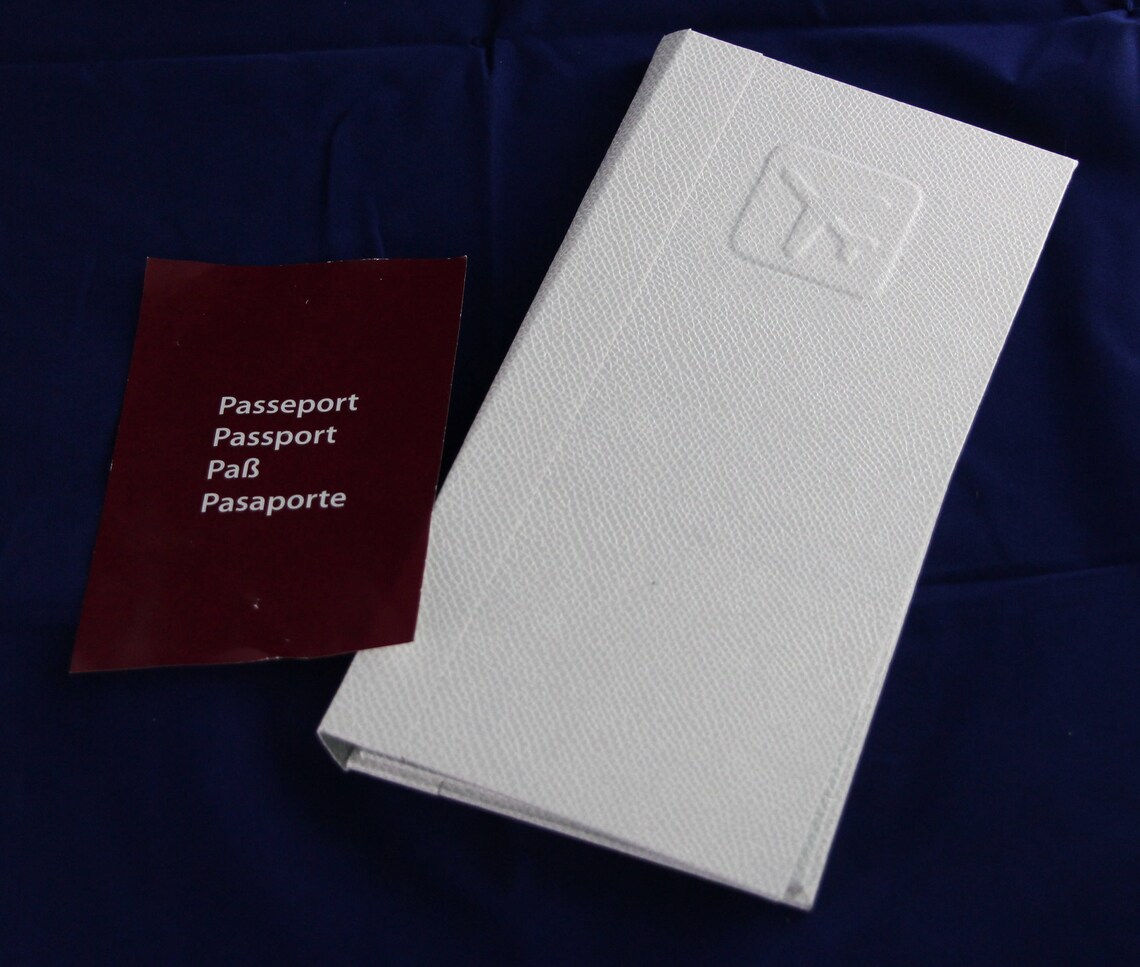 Passport Storage Case Passport Case Passport Protector Etsy