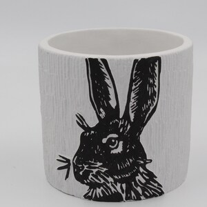 May include: White ceramic planter featuring a black and white illustration of a rabbit's face.