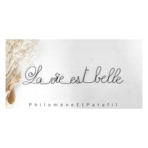 Puede incluir: Arte de alambre negro que deletrea "La vie est belle" con un acento de estrella. La frase se traduce como "La vida es bella". La obra de arte se muestra sobre un fondo blanco con flores secas en el lado izquierdo.