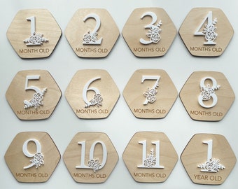 3D Monthly Baby Milestones SVG Leaves - Photo Markers - Digital Cut ...