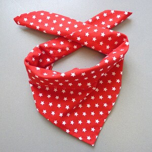 May include: A red bandana with white stars printed on it. The bandana is folded and tied in a knot.