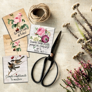 Sobres de bolsitas de té vintage botánico JW Pioneer de España