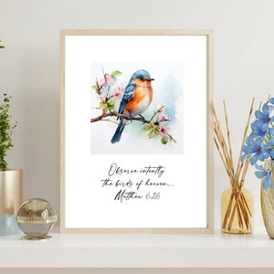 Coleção de cartões de escrituras de pássaros em aquarela