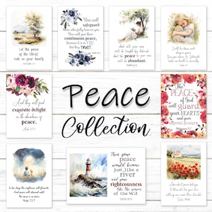 Schede delle Scritture - Collezione PEACE