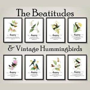 Les Béatitudes et les colibris vintage
