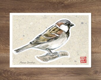 Postcard - Birds - House Sparrow