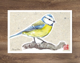 Carte postale - Oiseaux - mésange bleue