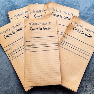 Lot de 5 à 20 grandes étiquettes pour plantes vintage françaises